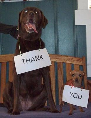 Riverbend Pet Hospital