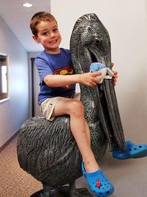 Climb the pelican