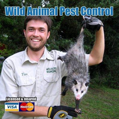 Wildlife Control Northeast MN