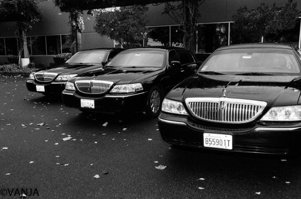 Fleet - Limousine Service in Marysville, WA