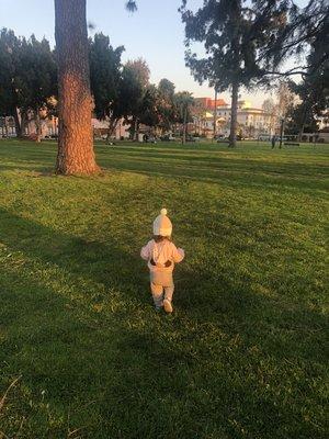 Central Park conveniently located across the street!