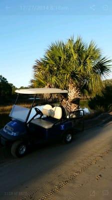 Palmetto Cart Rental of Charleston, LLC