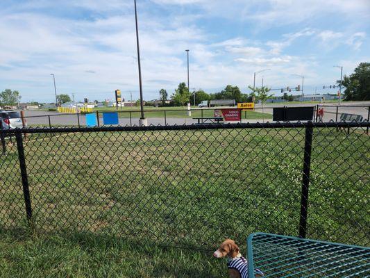 Love's travel center Dog Park