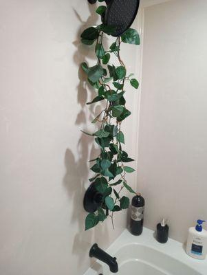 R&R Property Services