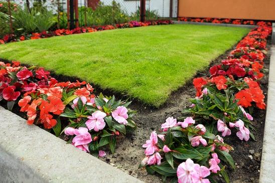 All American Home and Lawn