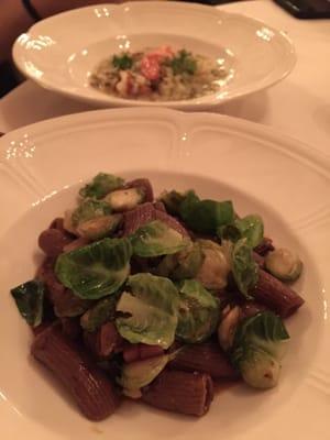 Rigatoni with wild boar and Brussels sprouts