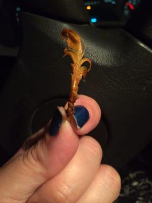 Feather found in my wings 08/2015