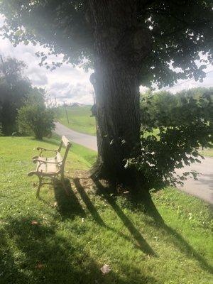 Noah’s Tree Service