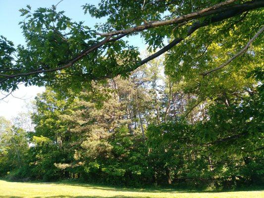 Arkwright Hills Campgrounds