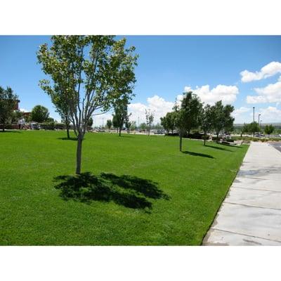 Art's Landscaping & Tree Services