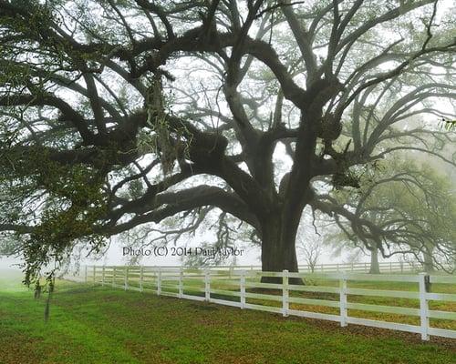 Paul Taylor Photographer