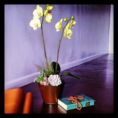 On opening day. A beautiful gift of an Orchid!