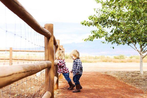 Jacobsmeyer Photography