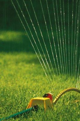 Mark Davis Landscape Architects