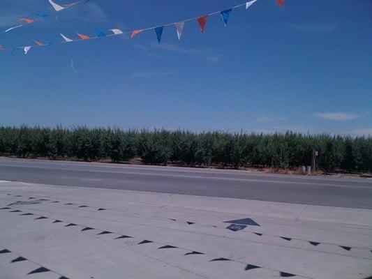 Mid-Valley Cotton Growers