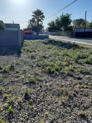 Total Maintenance Service