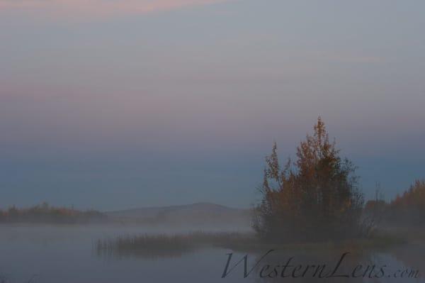 Western Lens Photography