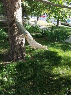 Brothers Home and Lawn