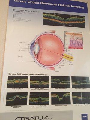 I was referred to Dr. Shelly by the emergency doctor at Mountain View Hospital. I'm extremely thankful.