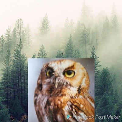 I created this little gem of a picture with logo liciuse