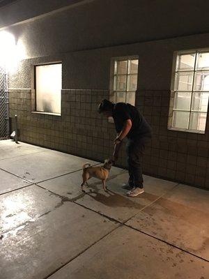 Tiara training a rescue dog at All Pets Veterinary Hospital