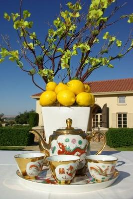 Orchid Tree for my Wedding Tea Ceremony