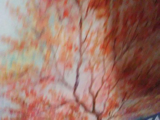 Bentzel Paul W Building Contractor