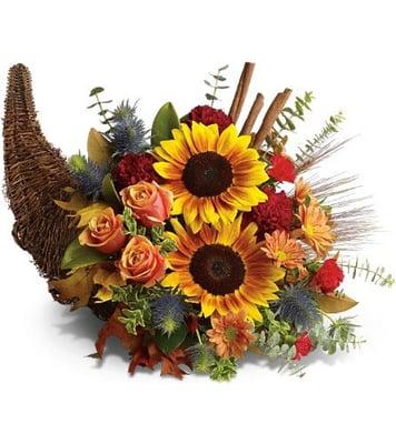 Kipling-Dolphin flowers