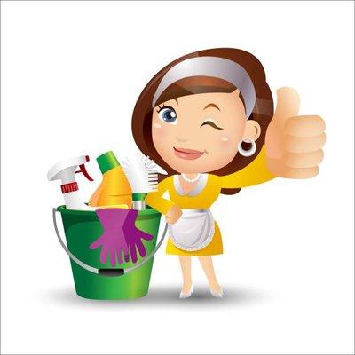 Mega Care Cleaning Service
