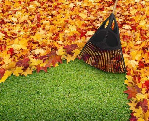 Martin's Lawn Mowing And Leaf Cleanup Services