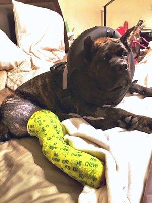 Ramsey on the road to recovery.