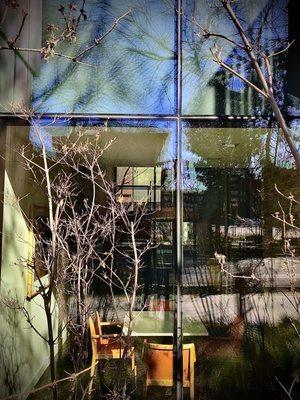 The David and Lucile Packard Foundation