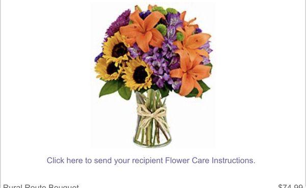 What I was to at very least hoping it get upgrading to the premium arrangement for $80+ dollars