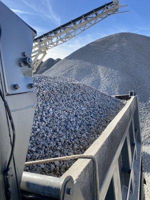 Buddy & Sons Trucking