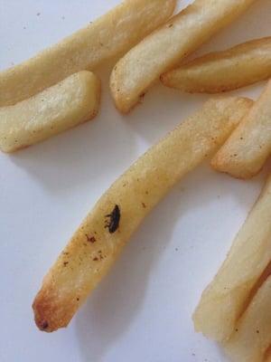 First and last time customer. An insect deep fried to my French fries. You can guarantee I'll never be ordering delivery from here again.