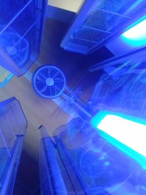 Level 5 bed~~360 opensun