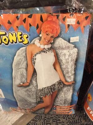 The costume I bought.