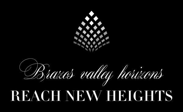 BV Horizons Consulting