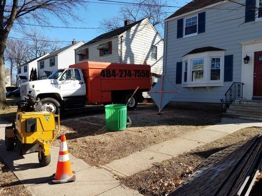 Magnolia Tree Solutions