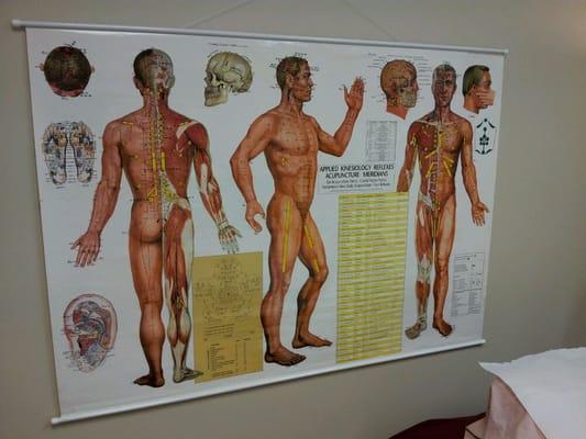 Acupuncture chart