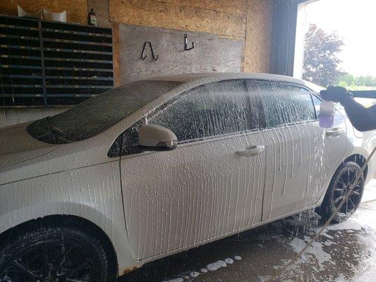 THE BEST PRICE CLEANING