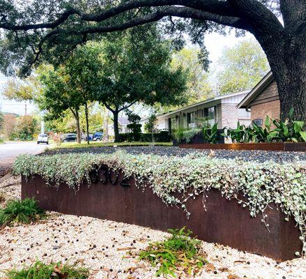 Austin Modern Landscapes