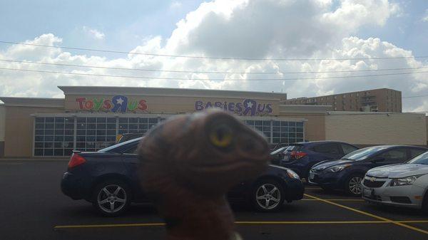 Bob the Raptor Says "Mammals come here to get plastic things."