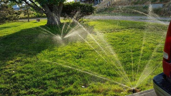 Go Green Irrigation Sprinkler Repair & Installation