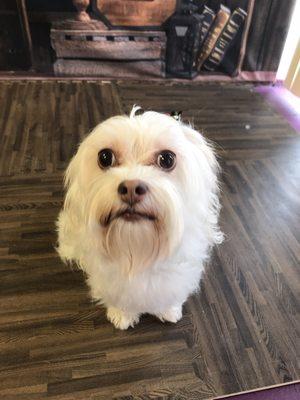 Nonnie after her spa day. Ready for "meet the teacher"