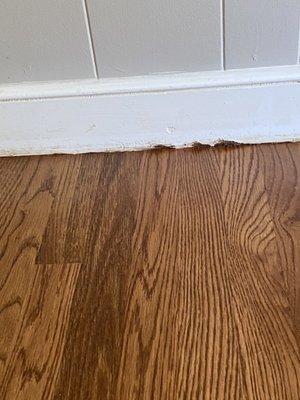 David Hardwood Floors