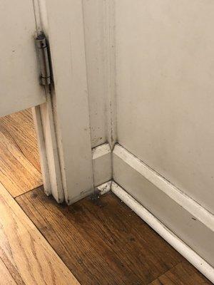 American Eagle Outfitters Sportswr