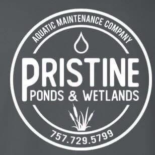 Pristine Ponds & Wetlands