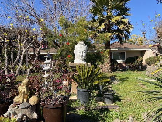 Chua Dao Trang Thon Yen