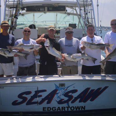 Sea Saw Charters